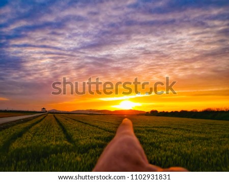 Fingers pointing at sunset.Sunset at evening in barley field.Bright Dramatic Sky And Dark Ground.Countryside Landscape Under Scenic Colorful Sky At Sunset.Sun Over Skyline,Horizon.Warm Colors
