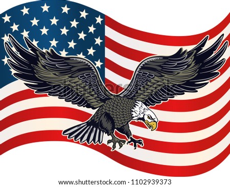 Bald American eagle and USA flag