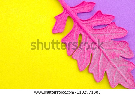 Pink leaf on colorful paper background. Fashion minimal pop art style.