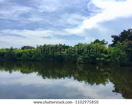 Forest reflection on the water with sky and cloud