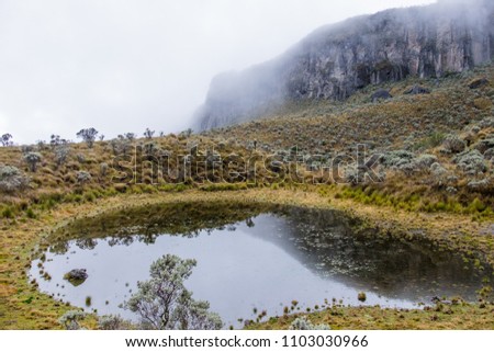 Los Nevados National Natural Park, Colombia Royalty-Free Stock Photo #1103030966