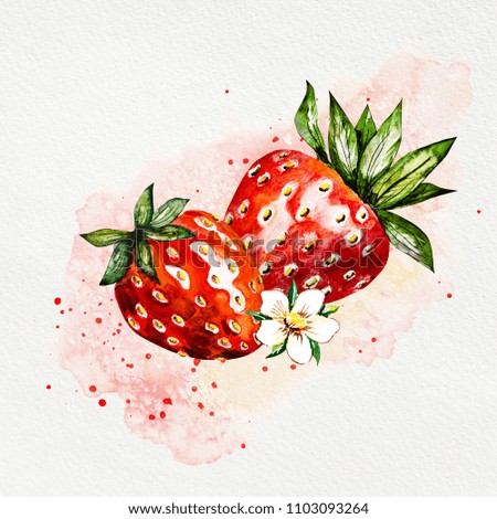 Hand drawn watercolor painting strawberry on white background. Illustration of berries. Watercolor floral background with strawberries. Summer card.
