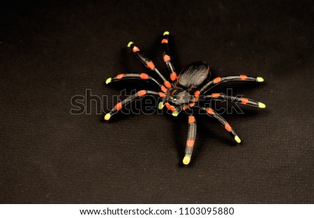 Black spider toy stock images. Rubber spider on a black background. Spider halloween decoration. Glowing spider toy