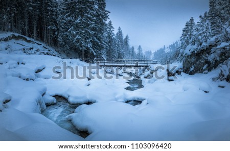 River covered in snow flowing towards bridge surrounded by trees. High resolution, 49 megapixels. Royalty-Free Stock Photo #1103096420