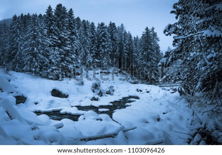 Winter landscape river surrounded by trees. High resolution, 43 megapixels. Royalty-Free Stock Photo #1103096426