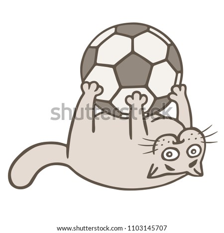 Cartoon cat soccer player caught the ball