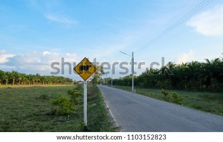 The yellow cattle traffic warning signs cow on the road. Attention crossing cows.