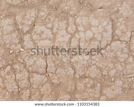 Closeup and selective focus of dirt road with cracks