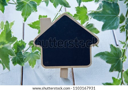 chalkboard with ivy plant on the wooden background