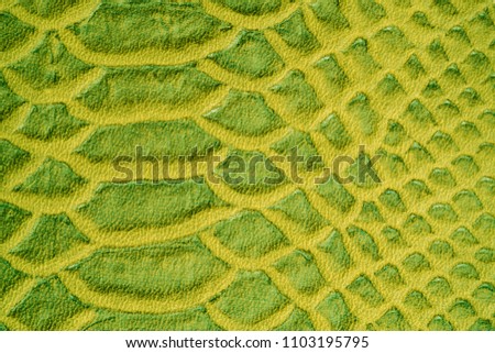 Abstract texture background of snake skin. Belly.