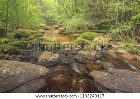 view of greem arch rocks coverd with green moss and lichen on the water with forest background, Phu Kradueng Thailand