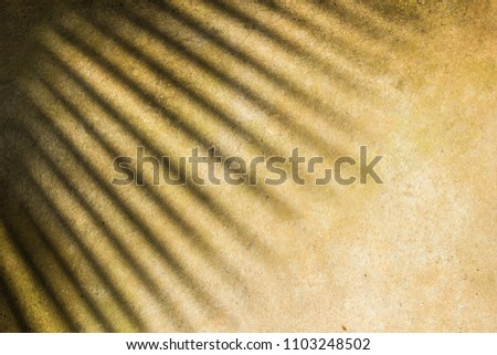 Silhouette black of tree branches-leaves with brown background, sunlight rays through wall concrete, It may look like shadow coconut or palm, photo of dried sand its beautiful leaf vein line tropical.