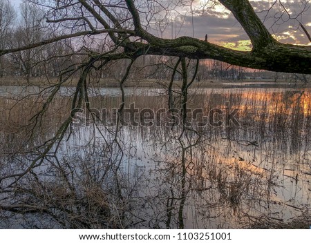 Calm evening and sunrise reflection in the water