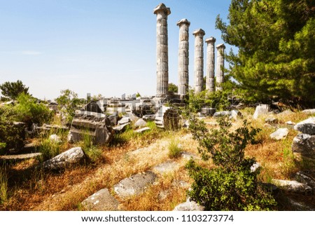 Antique ruins of Athena temple Priene, Turkey, famous place and travel destination. Spring landscape with poppy flowers, ancient stones and columns
