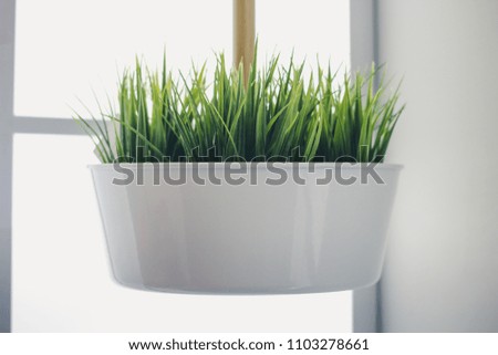 The green grass is suspended in a white pot