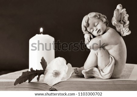 Angel guardian sleeping on the book. Angel, white candle and flower on the book    