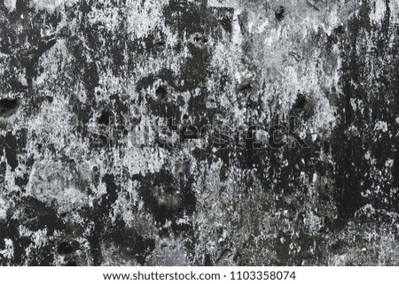 Old wall background. Dark texture