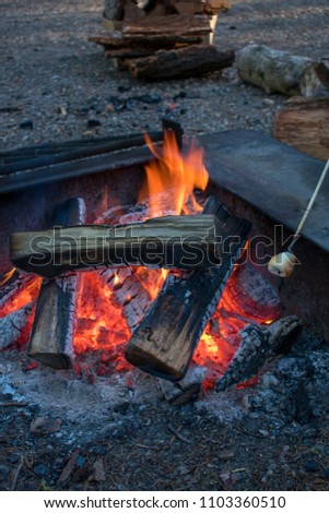 Roating Smores Over a Campfire