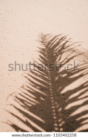 Copy space of shadow palm leaf on sand beach texture background. Summer vacation and holiday relax concept. Vintage tone filter effect color style.