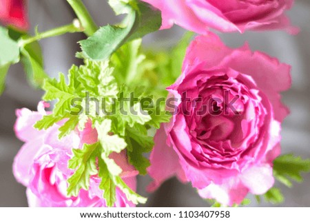Macro details of Rose flowers bouquet