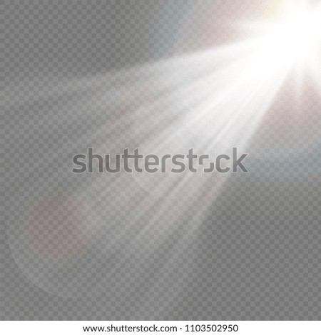 Sunlight, special lens flare, light effect. Sun flash with rays and spotlight. illustration