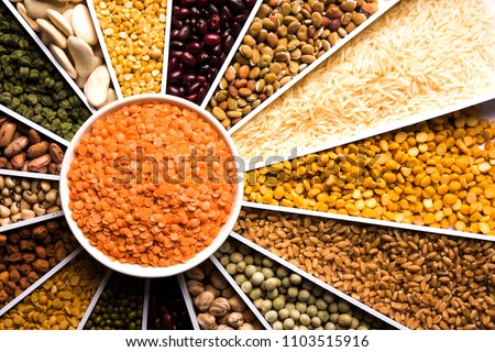 Indian Beans,Pulses,Lentils,Rice and Wheat grain in a white Sunburst or sun rays shape designer container , selective focus.
 Royalty-Free Stock Photo #1103515916