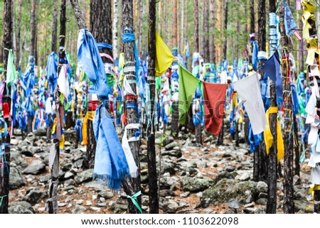 Colorful buddhist shamanic prayer flags hadags on ritual trees in Datsan of goddess Yanzhima, Barguzin valley, Republic Buryatia, Russia. Forest of colored ribbons, place of peace and power