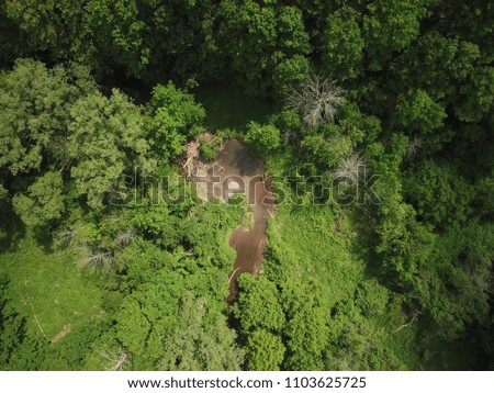 Aerial drone image of a river in a forest during a sunny summer day.  Top view.