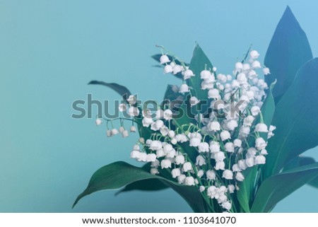 Flowers of lilies of valley on blue background. Blue tinted photo with copy blank space on the left.
