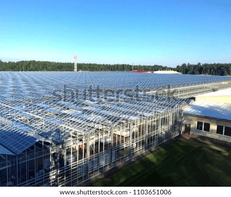 horizontal many greenhouses a few hectares for growing tomato roof glass building production office horizon forest view from above 