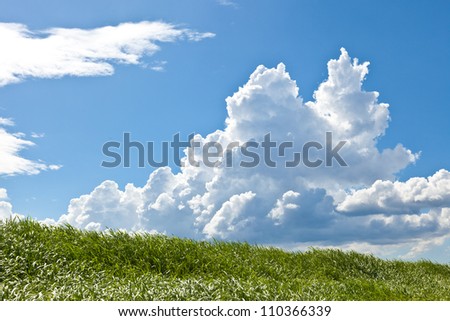 This is a picture of grass and thunderhead I have taken in August.
