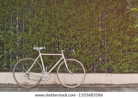 Vintage road bike on bush background, picture in vintage tone