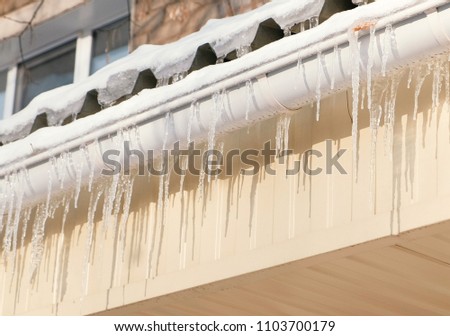 Icicles hang from a drainpipe of a house.