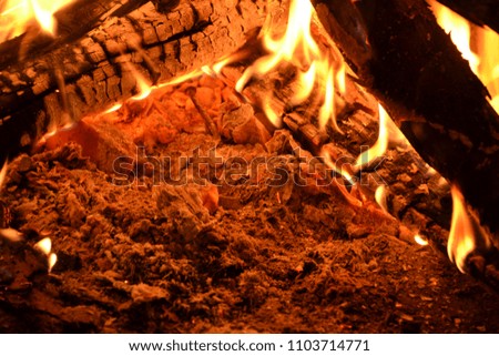 bonfire from firewood