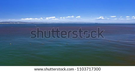 Red tide blooms in sea water blue sky Royalty-Free Stock Photo #1103717300