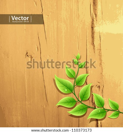 fresh green leaf on wood wallpaper background, vector illustration