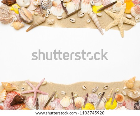 sand starfish seashell on white background