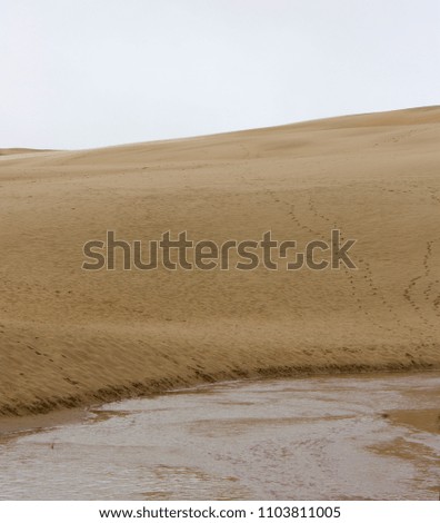 Sand dunes in New Zealand