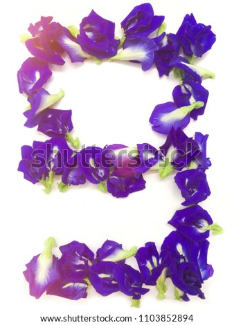 Number 9 from Butterfly pea flower, isolated on white background.