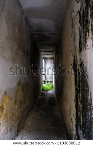 corridor in an abandoned house