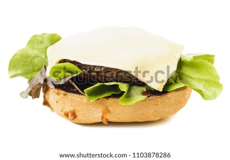 Burger ingredients isolated on white background, process of making hamburger