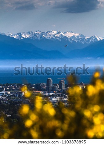 Victoria, the capital of BC, Canada, as seen from Mount Douglas. Yellow flowers in background, skyline in middle, mountains and ocean in background. Hydroplane, diversity, colorful. Portrait layout.