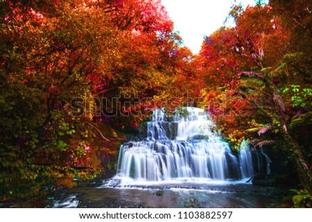 Long Exposure photography. Beautiful waterfall in the rainforest with green nature. Purakaunui Falls, The Catlins, New Zealand. Photoshop changed leaves to red color.