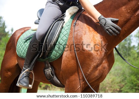 Close-up of woman rider and horse Royalty-Free Stock Photo #110389718