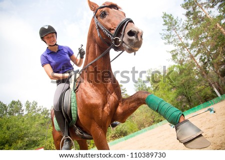 Young  woman  dressage the brown horse Royalty-Free Stock Photo #110389730