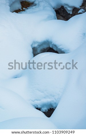 Very beautiful texture of the snow cover in the forest next to the lake Vorderer Gosausee. Austria