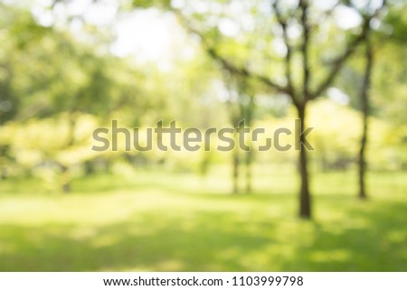 Abstract blur city park bokeh background - Green nature concept