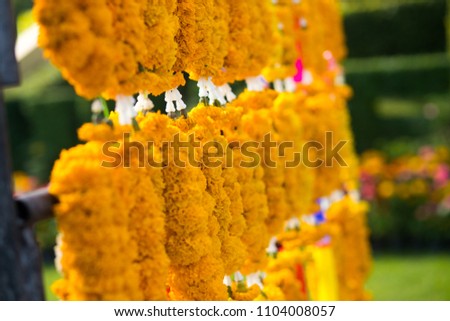 Thai calendula craft garland handmade hang on to pagoda barricade covered by yellow gold cloth