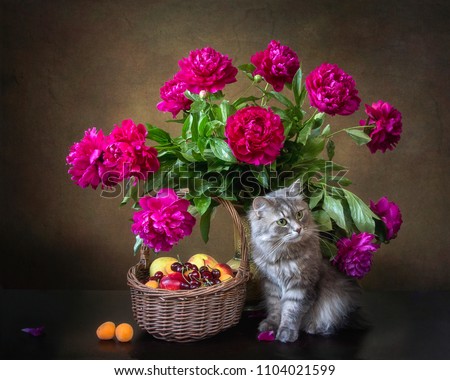 Still life with purple peonies, fruits and cat