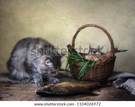 Still life with catch of fish and curious cat
